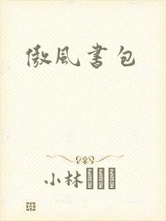 傲风书包