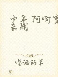少年 阿啊宾文未删