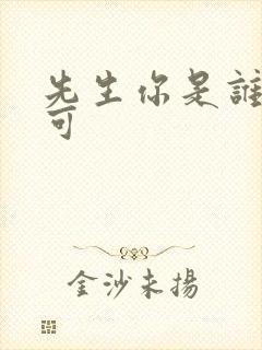 先生你是谁林亦可