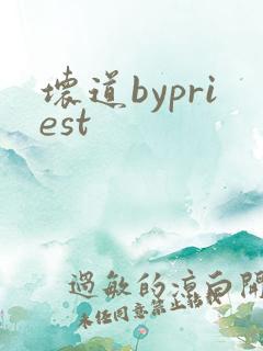 坏道bypriest