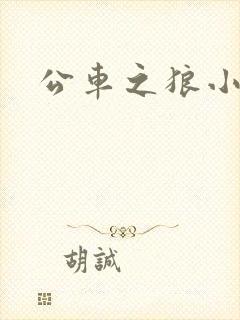 公车之狼小说