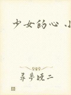 少女的心 小说