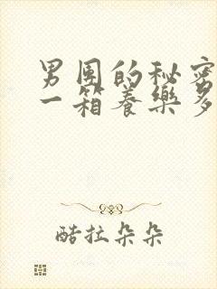 男团的秘密BY一箱养乐多小说