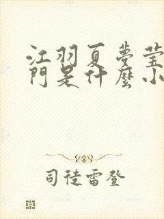 江羽夏梦莹神谕门是什么小说