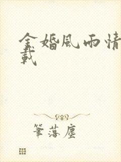 金婚风雨情 下载