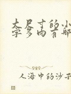 大尺寸的小黄说字多肉有哪些