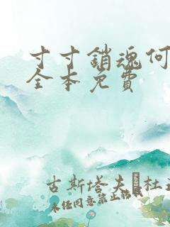 寸寸销魂何生祥全本免费