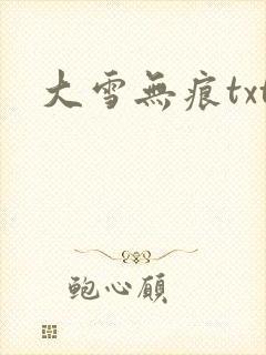 大雪无痕txt