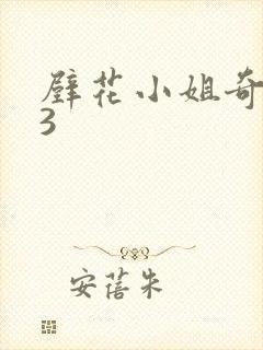 壁花小姐奇遇记3