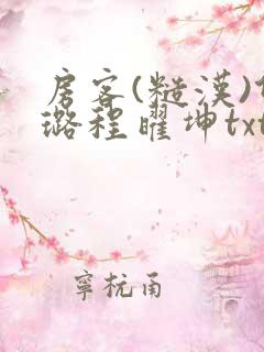 房客(糙汉)何璐程曜坤txt免费下载百度云