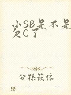 小SB是不是又欠C了