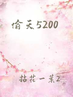 偷天5200