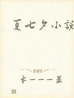 夏七夕小说