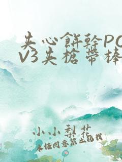 夹心饼干PO1V3夹枪带棒