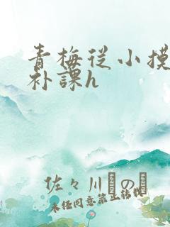 青梅从小摸到大补课h