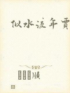 似水流年贾二虎