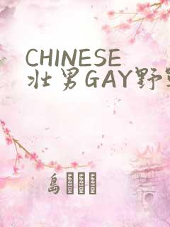 CHINESE壮男GAY野战强迫TUBE