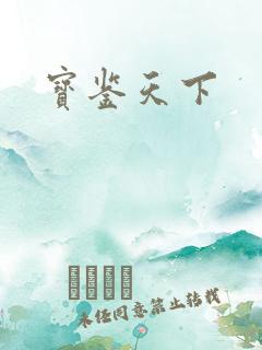 宝鉴天下