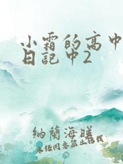 小霜的高中成长日记中2