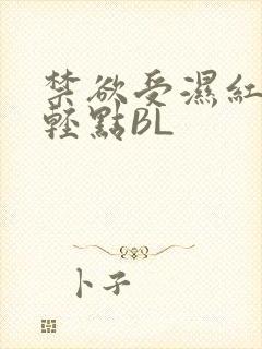 禁欲受湿红喘息轻点BL