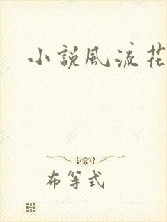 小说风流花少