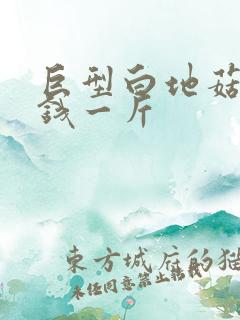 巨型白地菇多少钱一斤