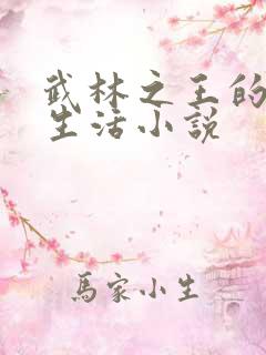 武林之王的退隐生活小说