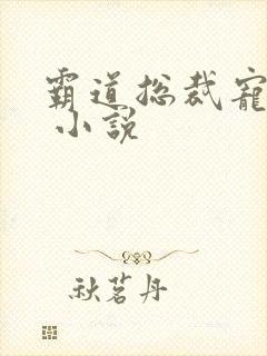 霸道总裁宠上天 小说