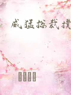 威猛总裁扑娇妻