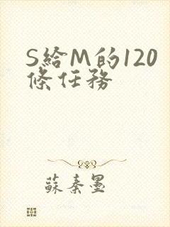 S给M的120条任务