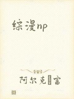 综漫np