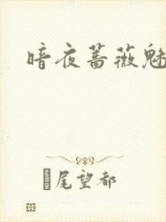 暗夜蔷薇魅之伤