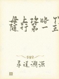 母上攻略 竹影随行第一主板