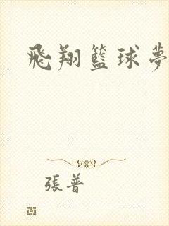 飞翔篮球梦下载