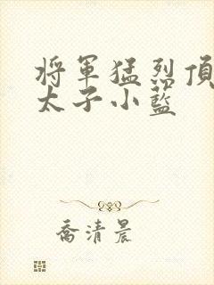 将军猛烈顶弄h太子小蓝