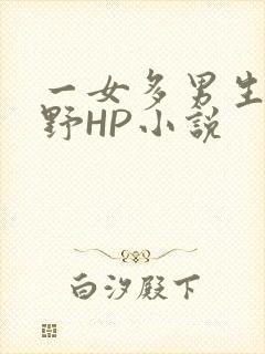 一女多男生活狂野HP小说