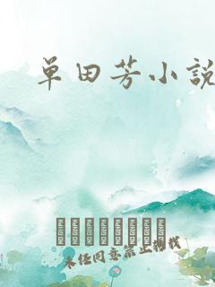 单田芳小说