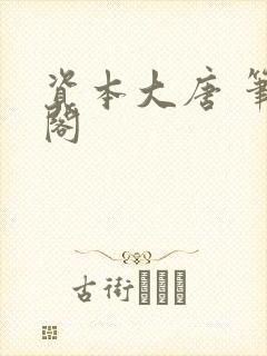 资本大唐 笔趣阁