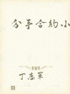 分手合约小说