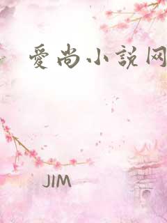 爱尚小说网