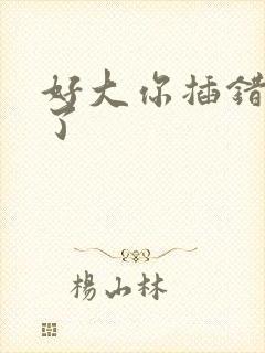 好大你插错地方了