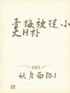 青梅被从小摸到大H补