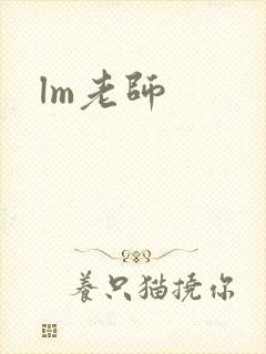 lm老师