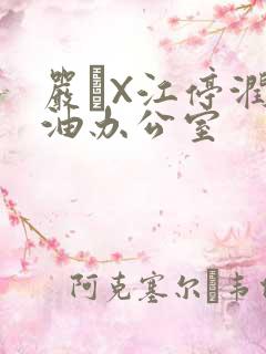 严峫X江停润滑油办公室