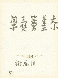 用玉器养大的皇子双男主小说