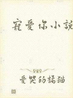 宠爱你小说