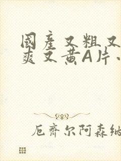 国产又粗又猛又爽又黄A片小说