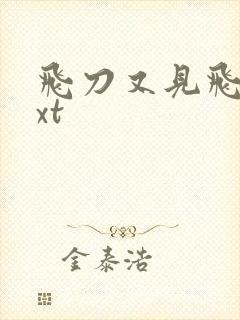 飞刀又见飞刀txt