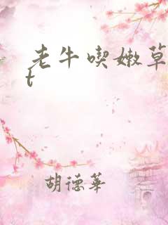 老牛吃嫩草txt