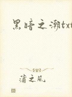 黑暗之潮txt